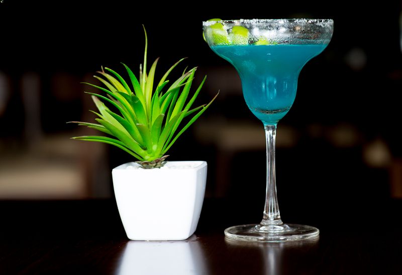 Ngô Đồng Bar
