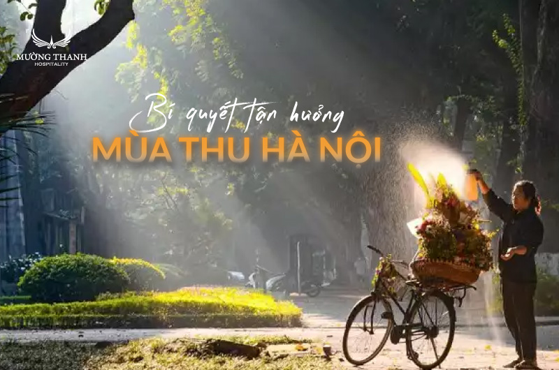 tan-huong-mua-thu-ha-noi