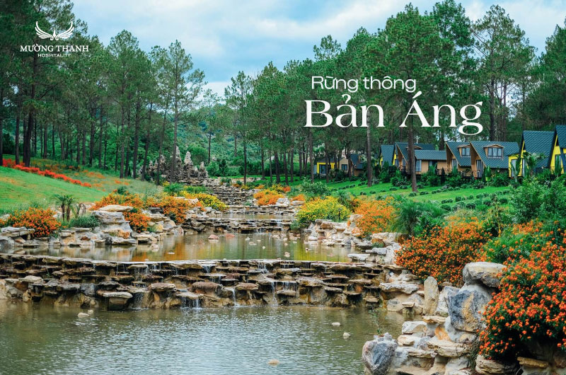 ghe-tham-rung-thong-ban-ang