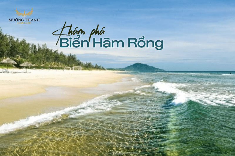 bai-bien-ham-rong