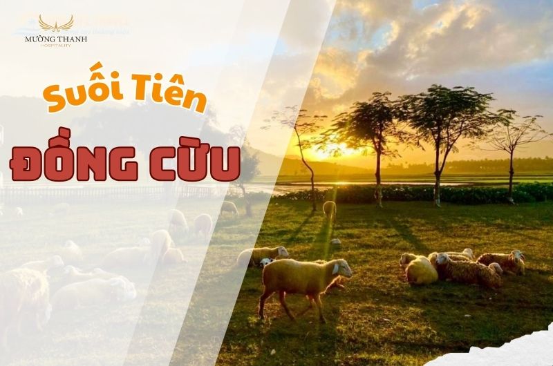 images/news/2025/06/original/dong-cuu-suoi-tien_1749736470.jpg