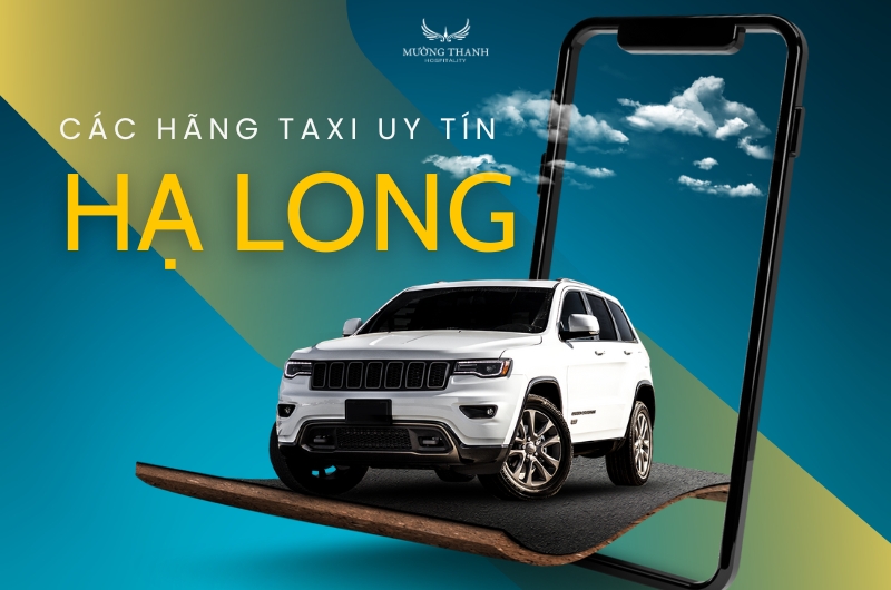 tong-hop-cac-hang-taxi-tai-ha-long