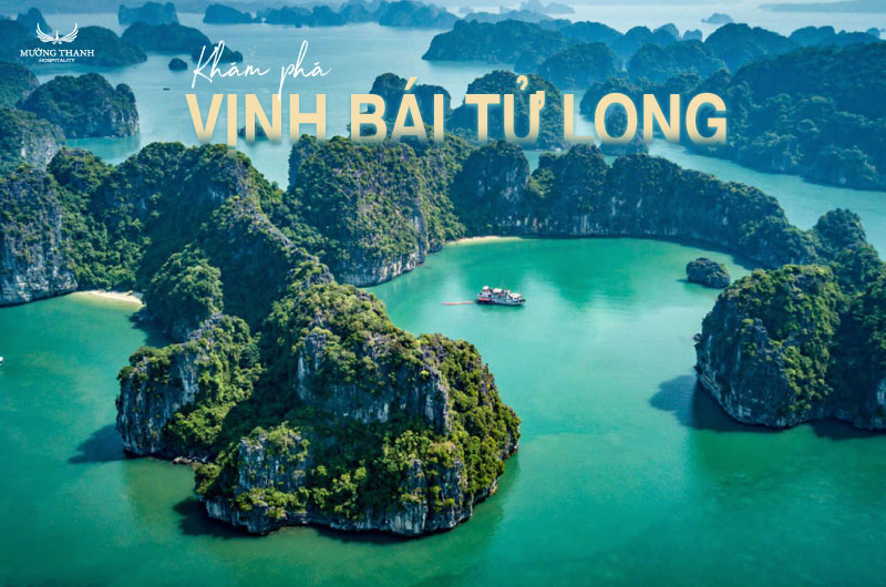 kham-pha-vinh-bai-tu-long-2025