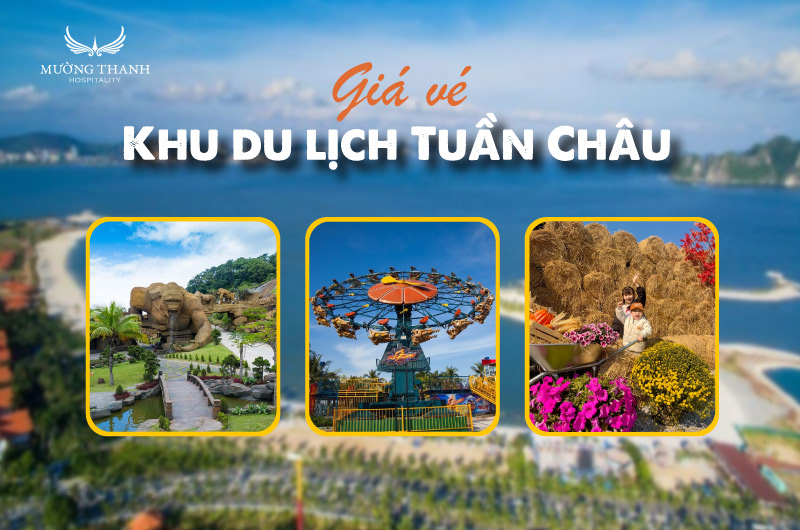 gia-ve-khu-du-lich-tuan-chau-moi-nhat