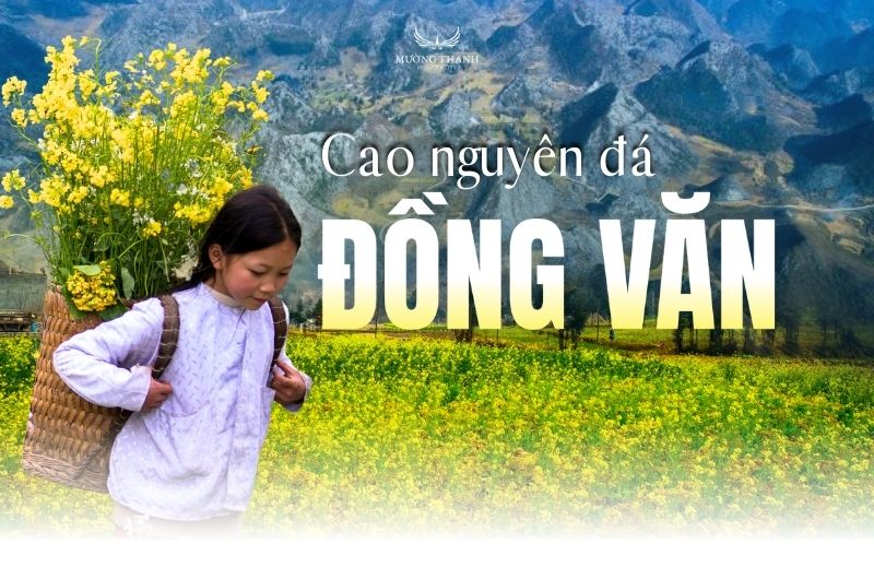 cao-nguyen-da-dong-van