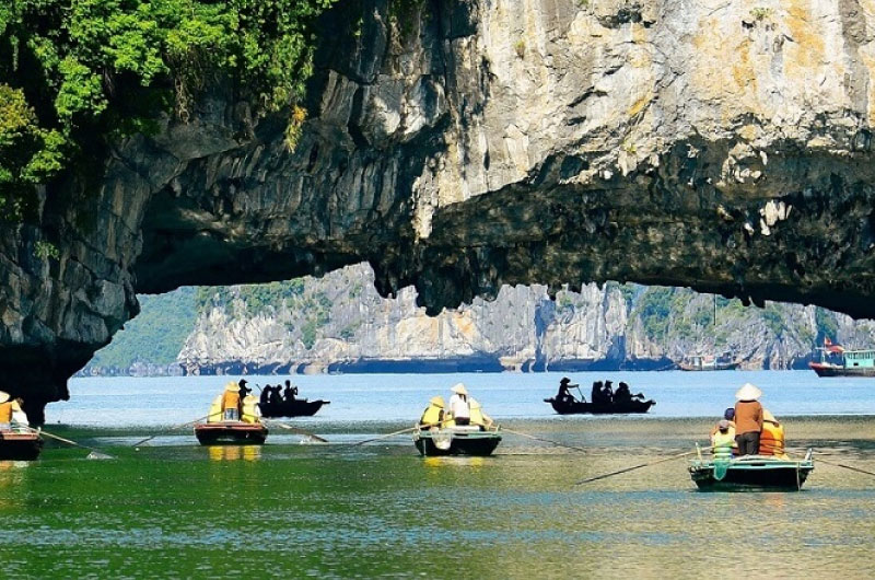 chup-anh-hang-dau-go