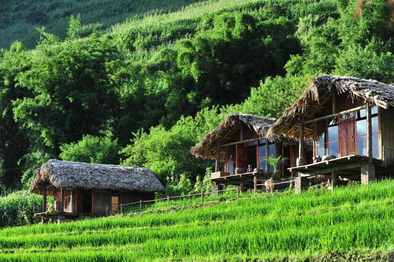 homestay