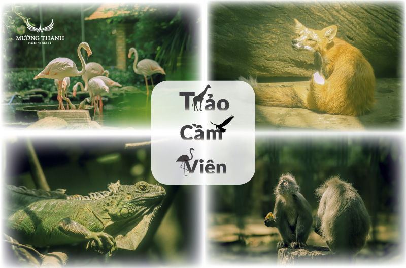 kham-pha-thao-cam-vien