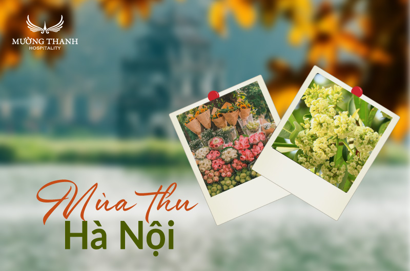 khung-canh-mua-thu-ha-noi