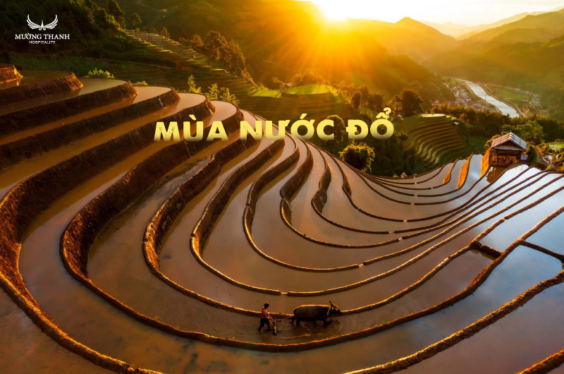 mua-nuoc-do