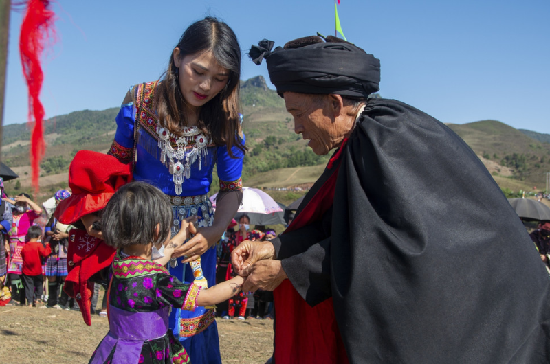 phan-le-trong-hoi-gau-tao