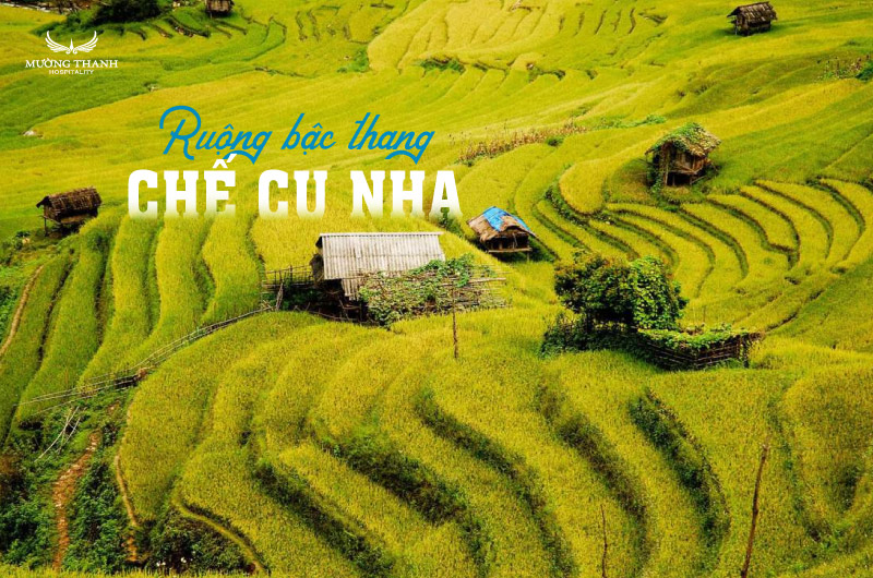 ruong-bac-thang-che-cu-nha