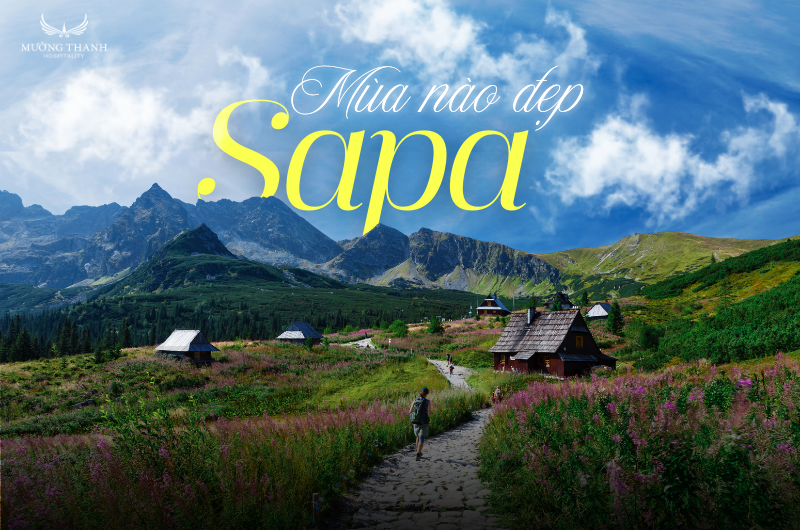 sapa-mua-nao-dep-nhat