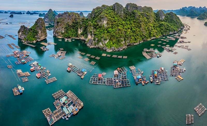tham-quan-lang-chai-vung-vieng