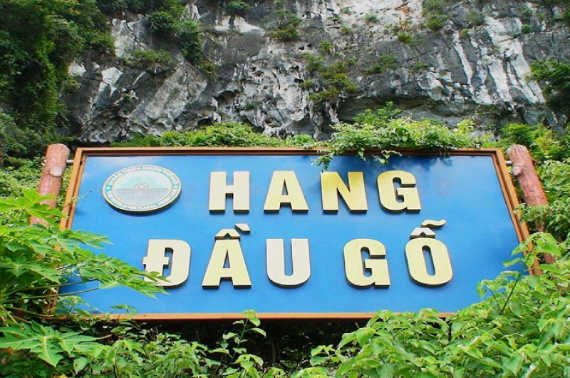 thoi-diem-tham-quan-hang-dau-go