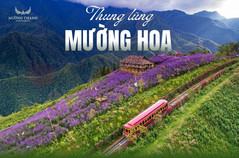 thung-lung-muong-hoa