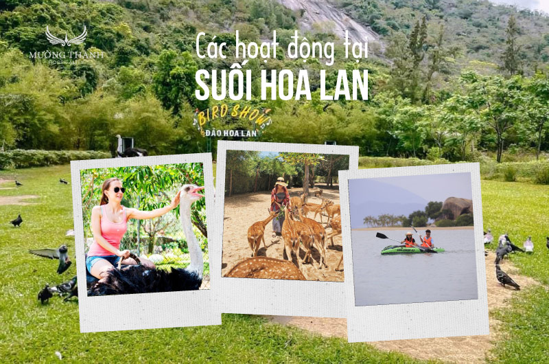 hoat-dong-suoi-hoa-lan