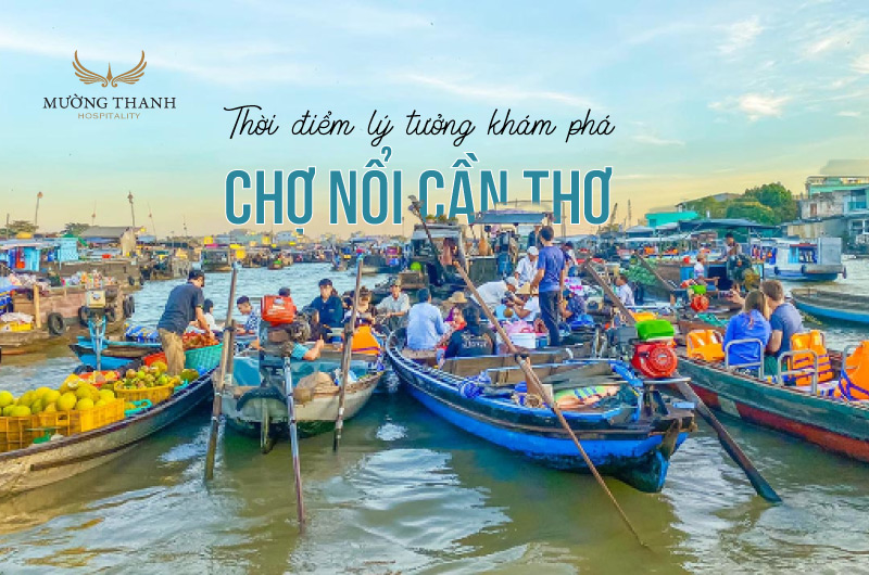 thoi-diem-kham-pha-cho-noi