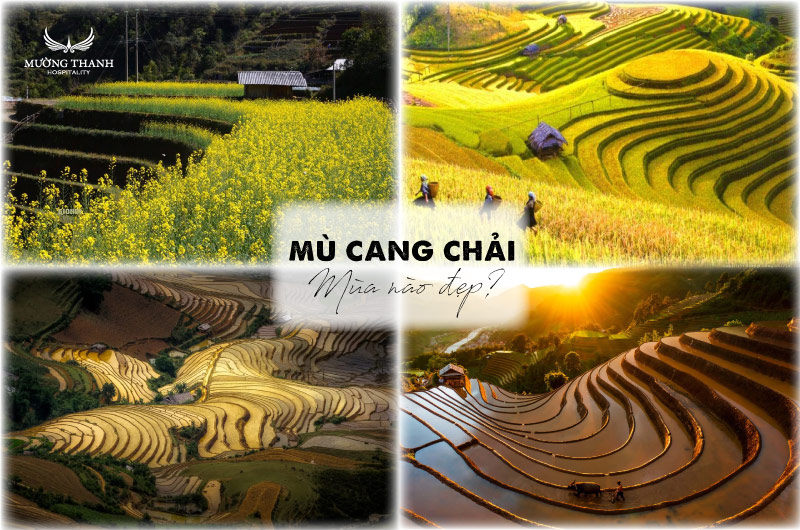 mua-nao-dep-o-mu-cang-chai