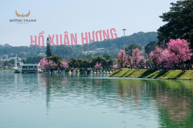 ho-xuan-huong-da-lat