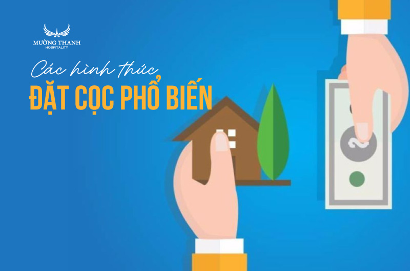 cac-hinh-thuc-dat-coc-pho-bien