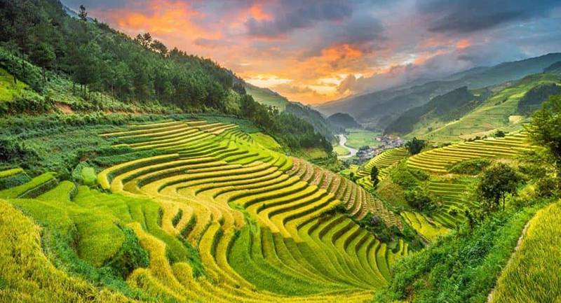 canh-dong-muong-than-lai-chau