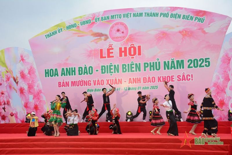 le-hoi-hoa-anh-dao