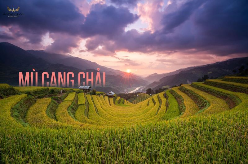 mu-cang-chai