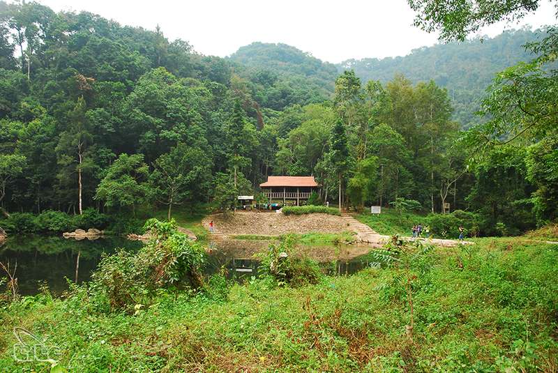 rung-nguyen-sinh-khe-ro