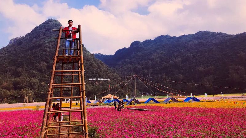 thung-lung-hoa-bac-son