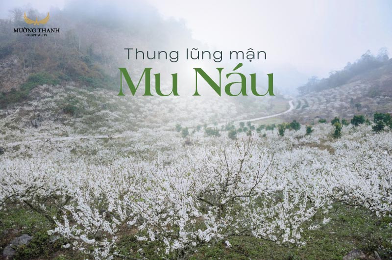 thung-lung-man-mu-nau