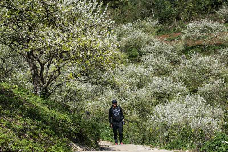 trekking-thung-lung-mu-nau