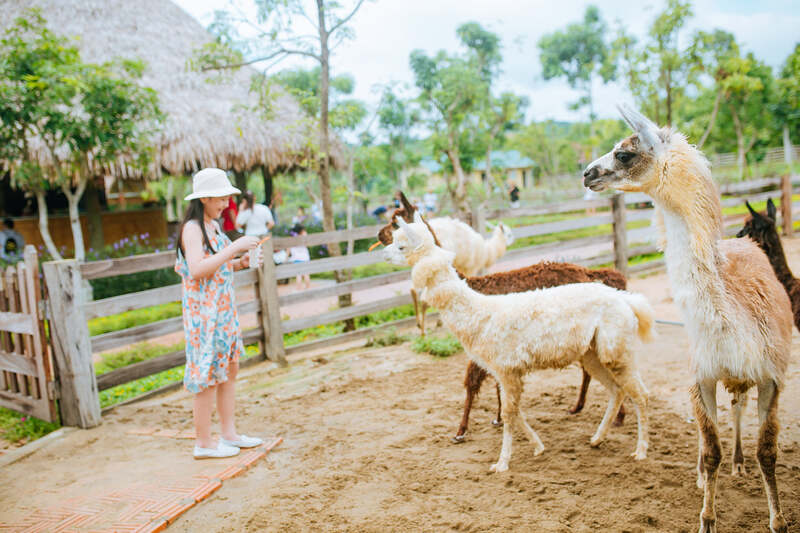 Muong-Thanh-Green-Land-Dien-Lam-Vuon-thu-Happy-Zoo