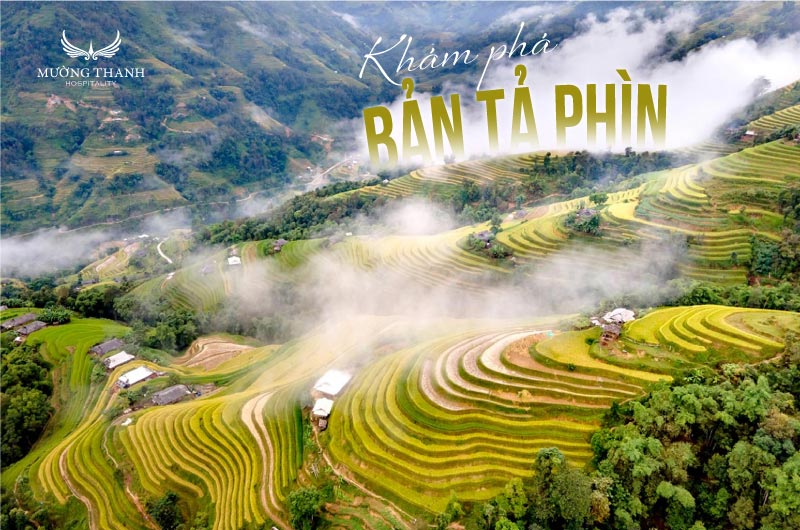 ban-ta-phin