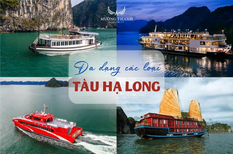 cac-loai-tau-ha-long