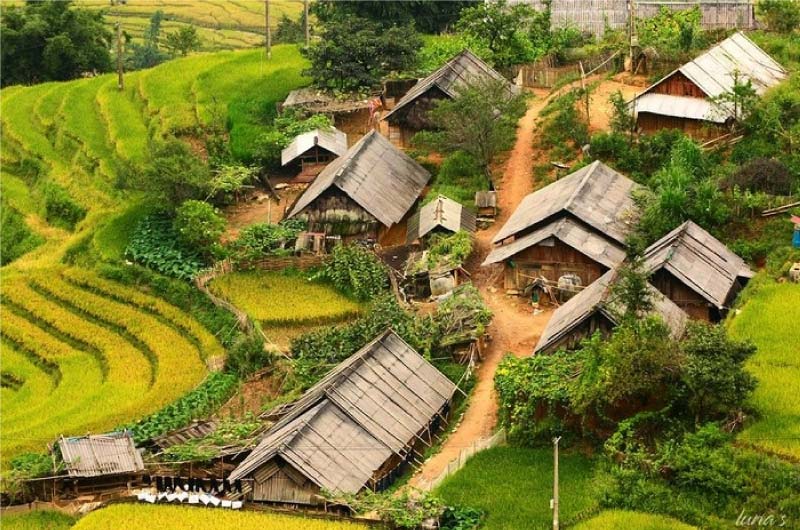 dao-buoc-duong-lang-ta-van