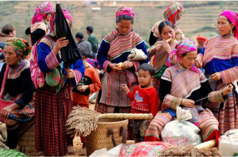 khung-canh-moc-mac-tai-cho-coc-ly