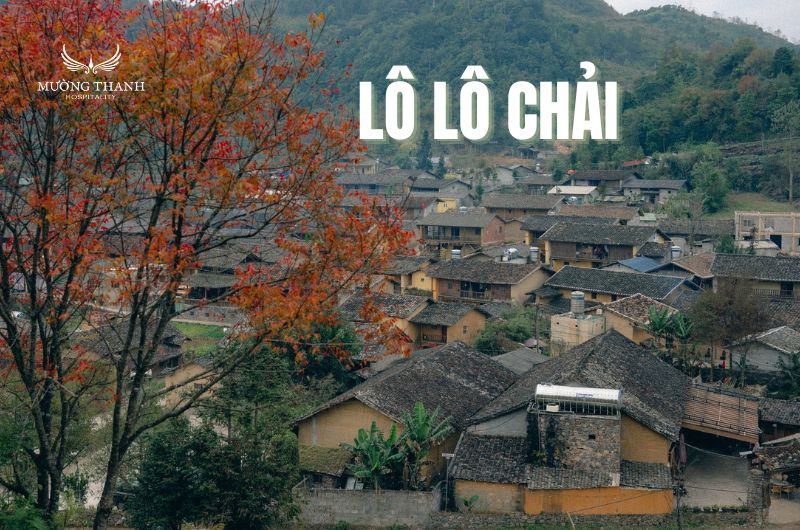 lo-lo-chai-ha-giang