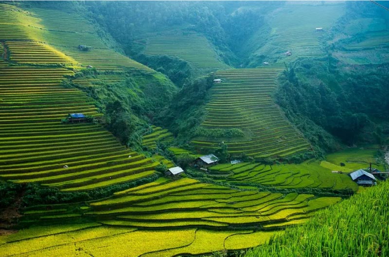 ruong-bac-thang-ban-lao-chai
