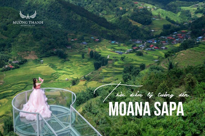 thoi-diem-ly-tuong-den-moana-sapa