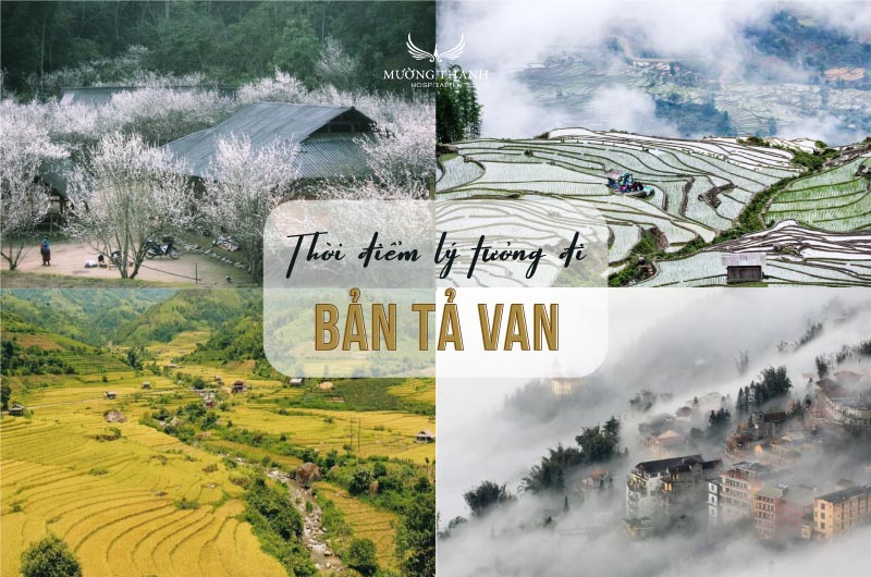thoi-diem-ly-tuong-den-ta-van