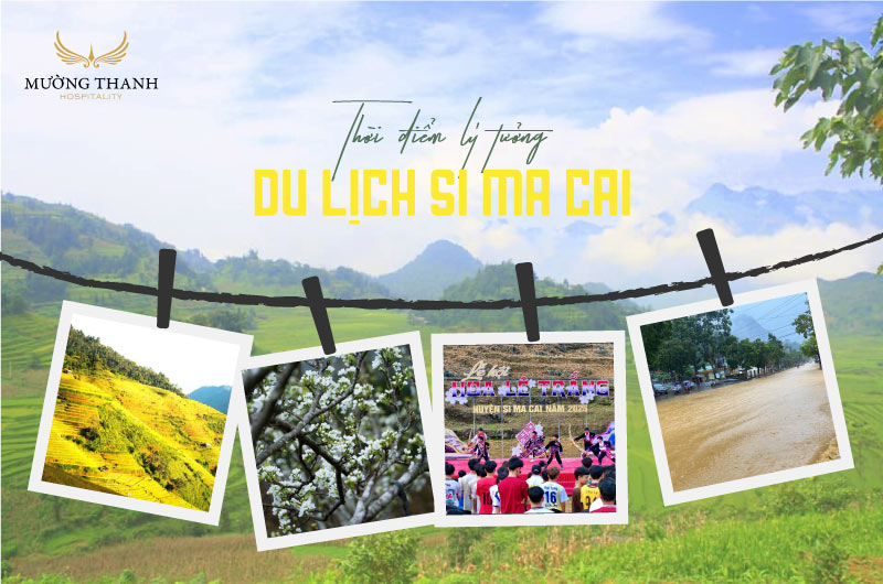 thoi-diem-ly-tuong-di-si-ma-cai