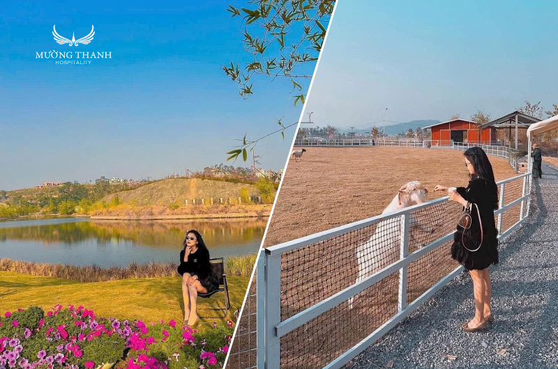 tuan-chau-farm