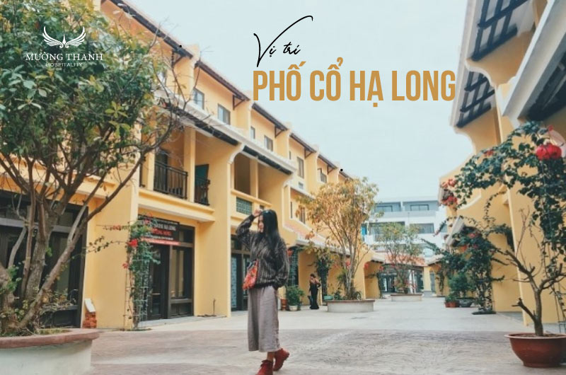 vi-tri-pho-co-ha-long