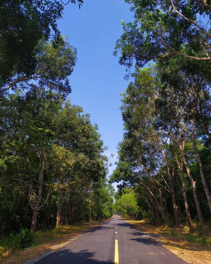 khu-bao-ton-thien-nhien-binh-chau