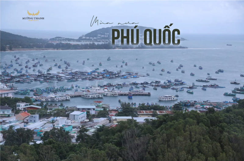 mua-mua-phu-quoc